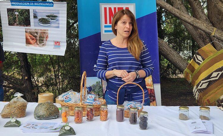 Mendoza apuesta al resurgir de las ciruelas: Gracias al INTA y a la interacción entre productores e industria, todo está dado para crecer y conquistar nuevos mercados