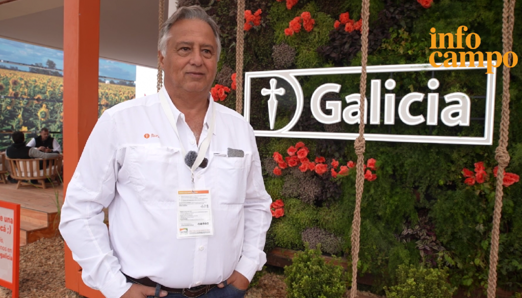 “El financiamiento al agro por parte de los bancos va a crecer: claramente las condiciones están dadas”